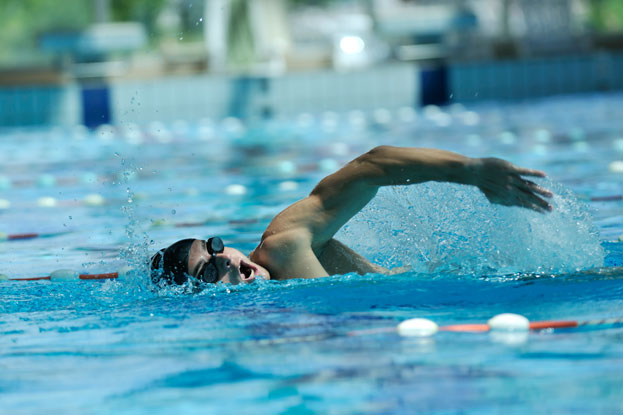 Freestyle Swimming Racing Strategies Picture