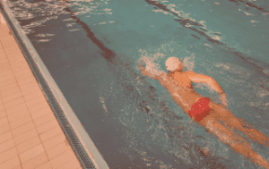 steady swim adult classes